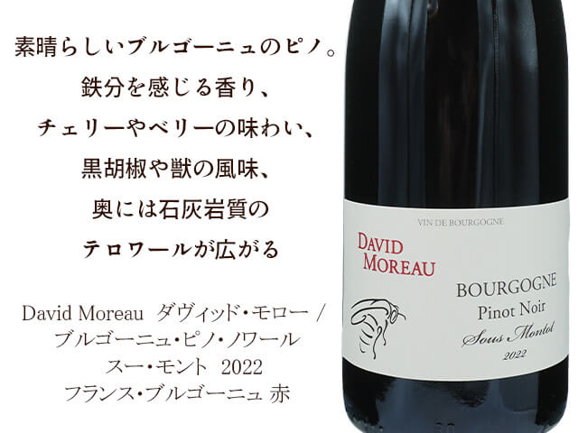 ダヴィッド・モロー / Bourgogne Pinot Noir - Sous Montot  ブルゴーニュ・ピノ・ノワール　スー・モント　2022（テキスト付）