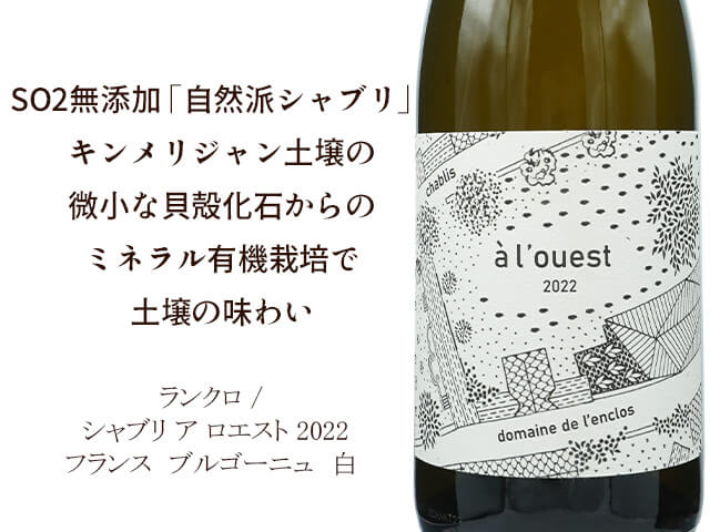 Domaine de l’Enclos ランクロ / Chablis a l’ouest シャブリ ア ロエスト 2022フランス　ブルゴーニュ　白（テキスト付）