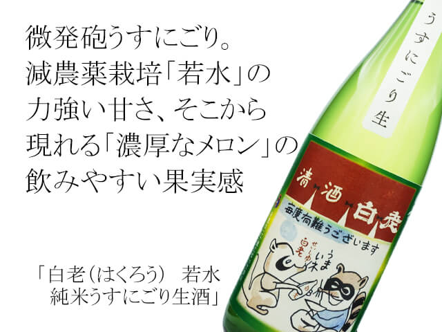 白老（はくろう）　若水　純米うすにごり生酒（テキスト付）