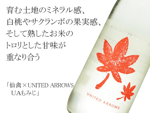 仙禽（せんきん）×UNITED ARROWS　UAもみじ（テキスト付）