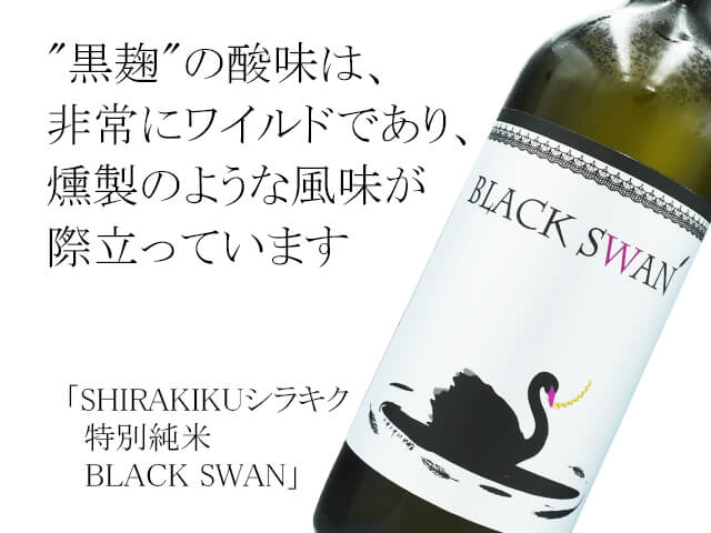 SHIRAKIKUシラキク　特別純米　BLACK SWAN（テキスト付）